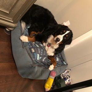 Meet your Posher, Annette